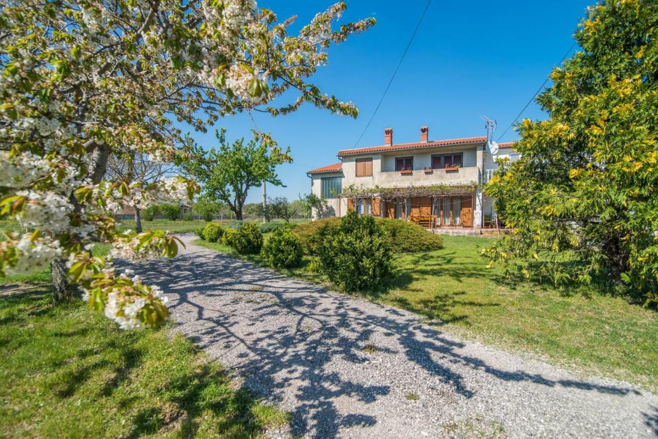 Apartment With Terrace In Filipana Marcana Екстер'єр фото